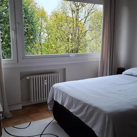 Appt 85m2 2 Terrasse Pkg Tram Buisson Lille