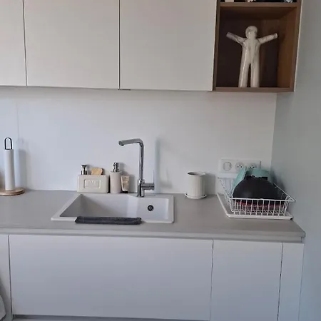 Appt 85m2 2 Terrasse Pkg Tram Buisson * Lille