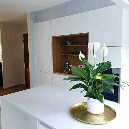 Appt 85m2 2 Terrasse Pkg Tram Buisson * Lille